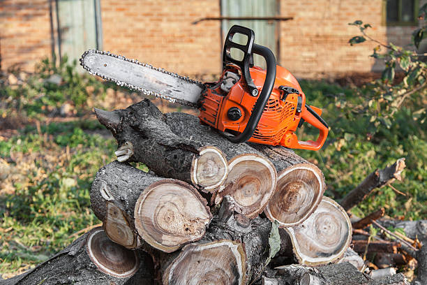 Mount Hermon, VA Tree Service Company